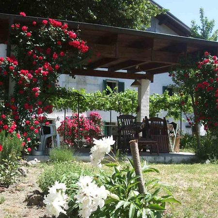 Casa Di Alfredo B&B - Citr9039 Mioglia Екстериор снимка