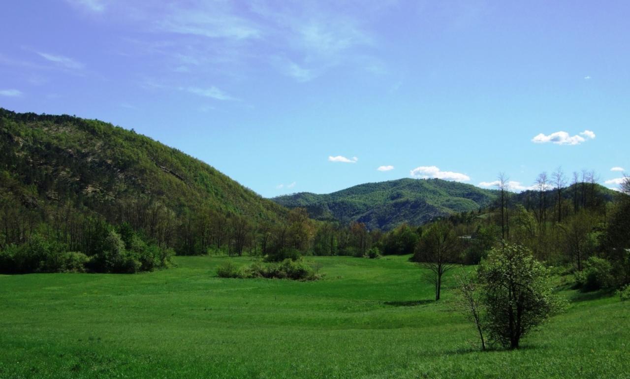 Casa Di Alfredo B&B - Citr9039 Mioglia Екстериор снимка